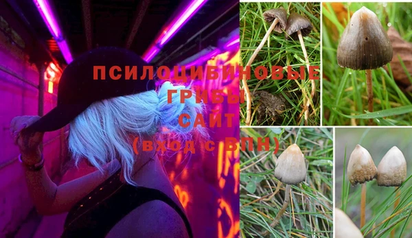 apvp Волосово