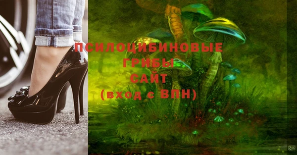 PSILOCYBIN Волоколамск