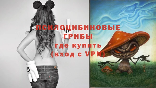 PSILOCYBIN Волоколамск